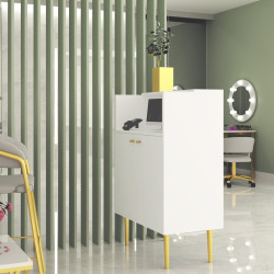 Lada recepcyjna KLARA 3 biały mat/złoty z panelem V czarnym